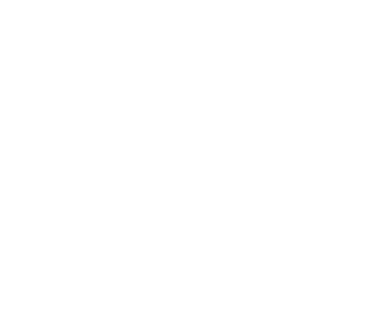 Bicycle Capital Logo